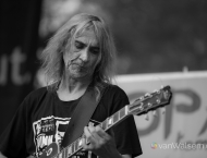 Musiker beim Auftritt