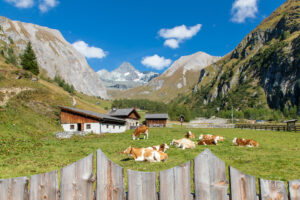 Alpenpanorama in Österreich